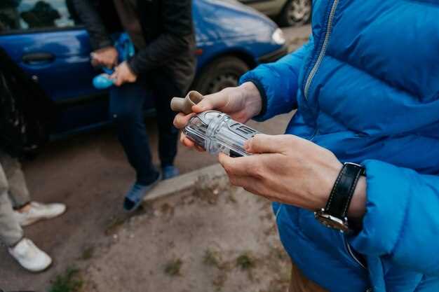 Как проверить принадлежность номера к конкретному региону онлайн