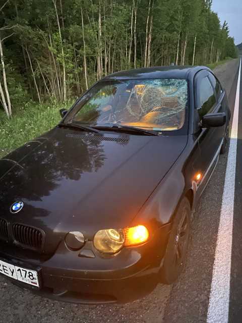 Полный