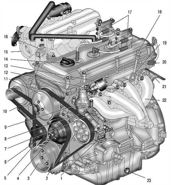 Шаги