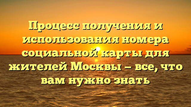 Процесс получения и использования номера социальной карты для жителей Москвы — все, что вам нужно знать