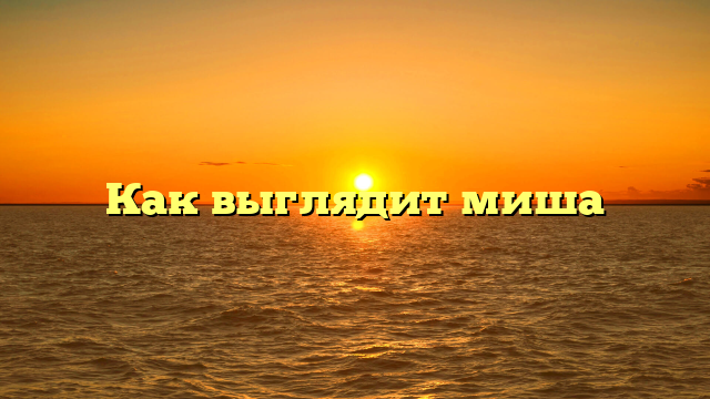 Как выглядит миша