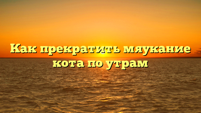 Как прекратить мяукание кота по утрам